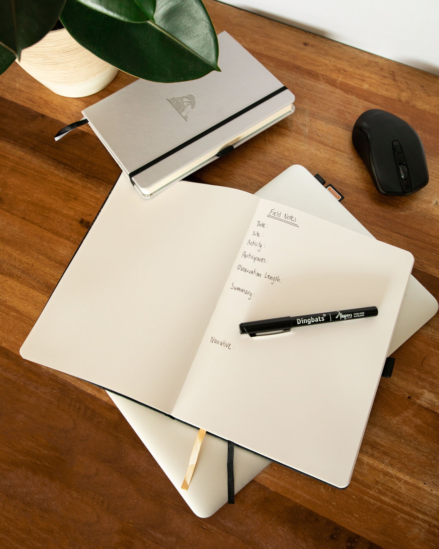 National Stationery Week 2026: The Benefits of Handwriting | Dingbats*