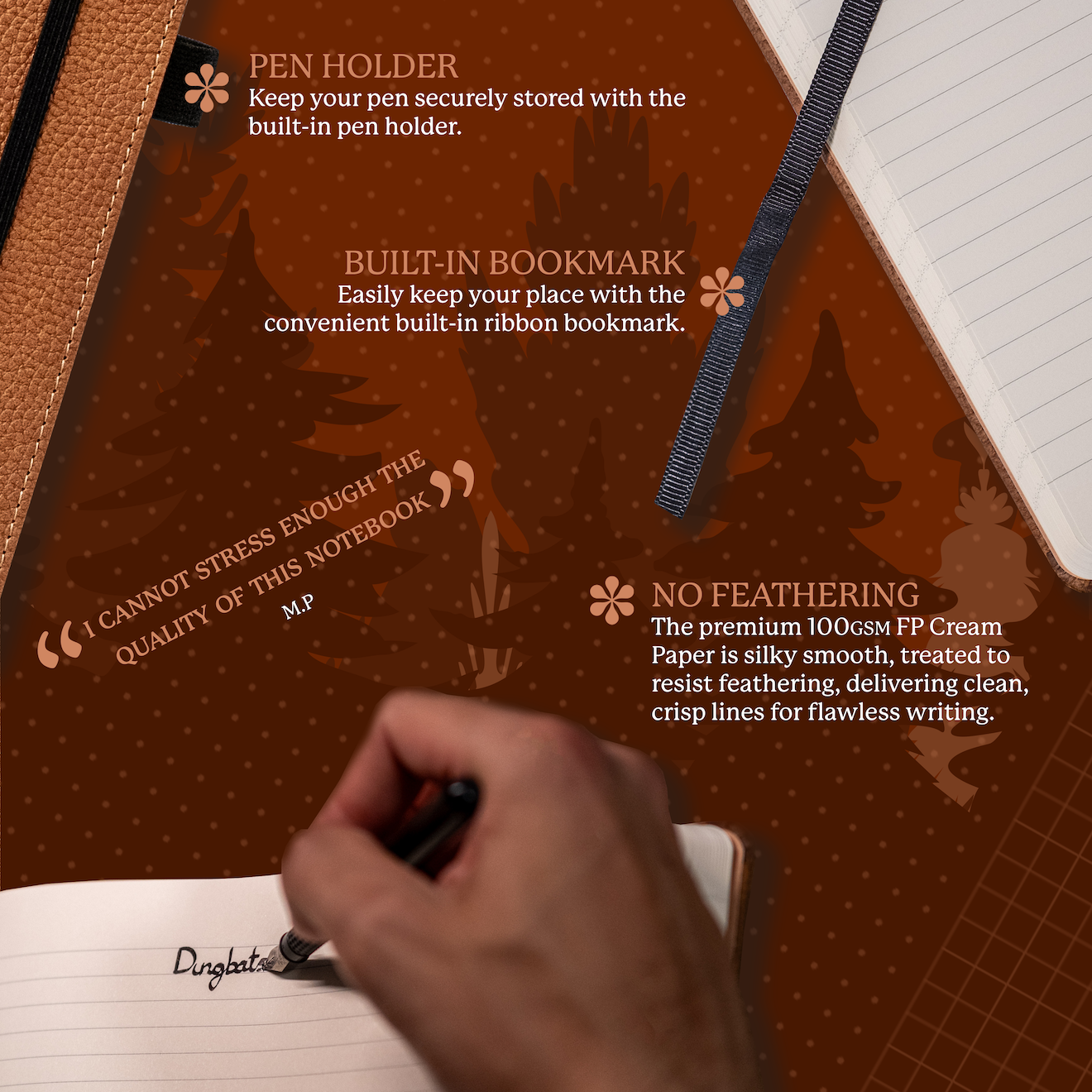 Brown Bear A4+ (21.5 x 30 cm)