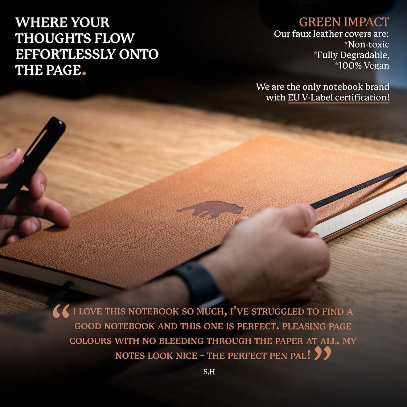 Brown Bear A4+ (21.5 x 30 cm)