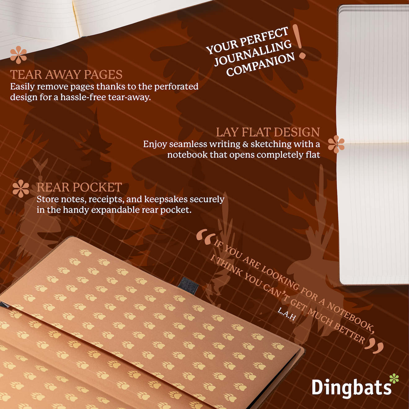 Brown Bear A4+ (21.5 x 30 cm)