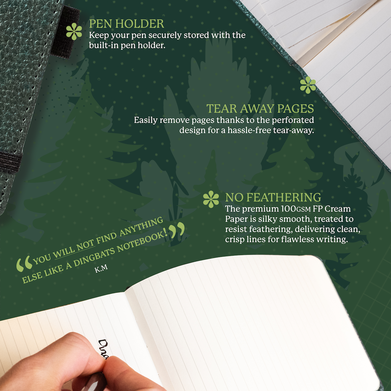 Green Deer A6+ Reporter (15.5 x 11 cm)