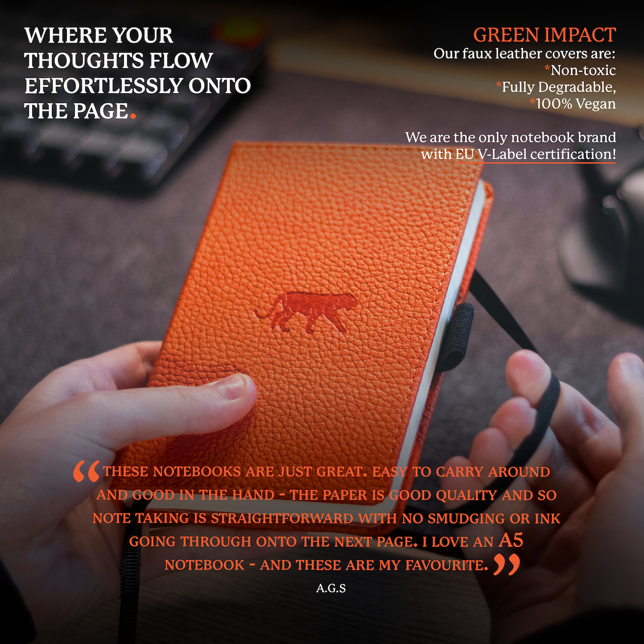 Orange Tiger A6 (9.5 x 14.5 cm)