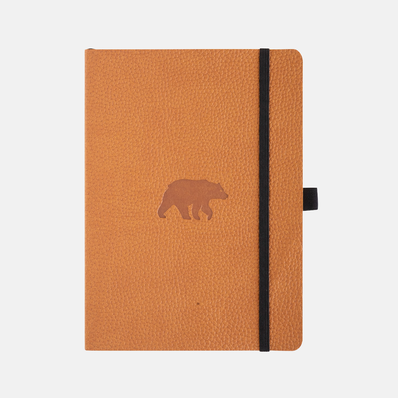Brown Bear